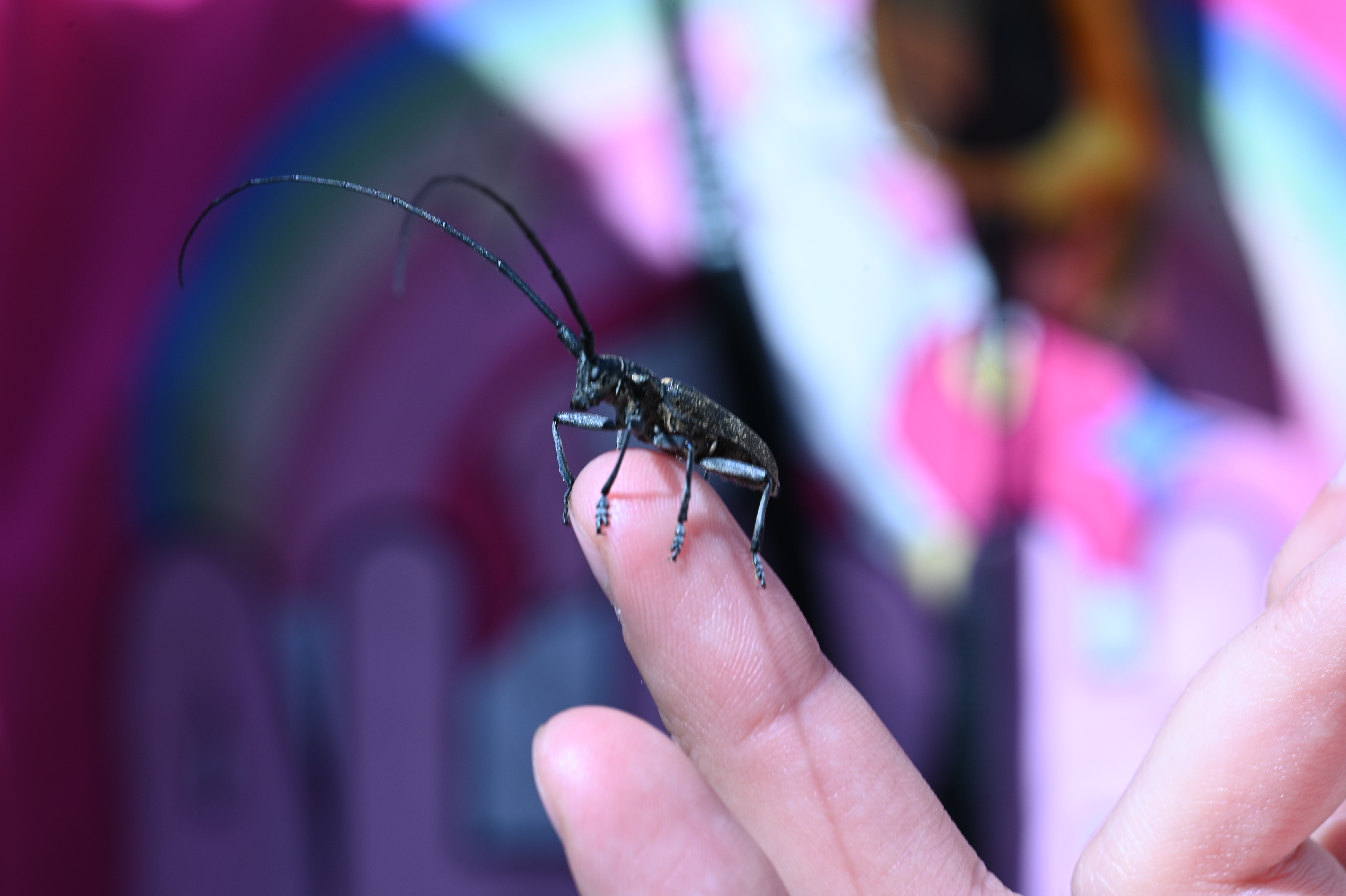 2025/07/09-14 - trip/DSC_0134.JPG